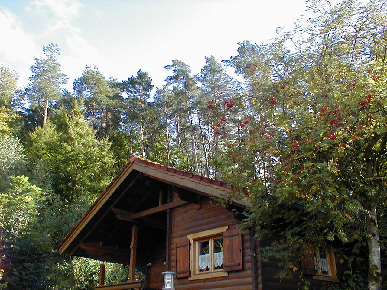 Herbstanfang im Ferienhaus 8 (September 2022)/ Hüttenurlaub in Stamsried / Bayerischer Wald