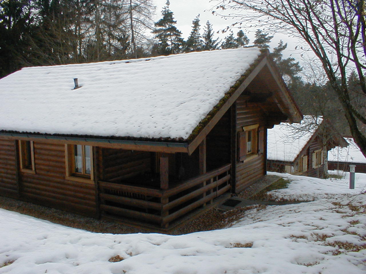 Aus dem Haus und direkt mit dem Schlitten auf die Rodelbahn hinterm Haus (Febr. 2017)/ Hüttenurlaub in Stamsried / Bayerischer Wald