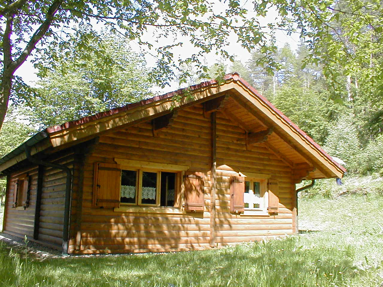  Ferienhaus 8 im Frühling / Blockhaus in Stamsried / Bayerischer Wald