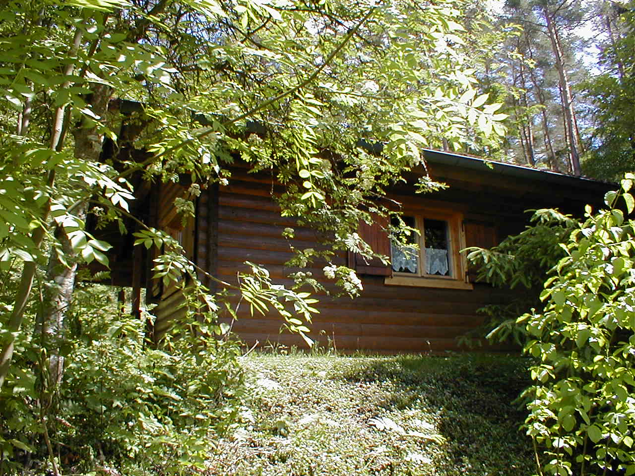 Das Haus vom Wald her gesehen, Wohn-, Schlaf- + Kinderzimmer Ferienhaus 8 / Blockhaus in Stamsried / Bayerischer Wald